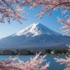Mt. Fuji and cherry blossom